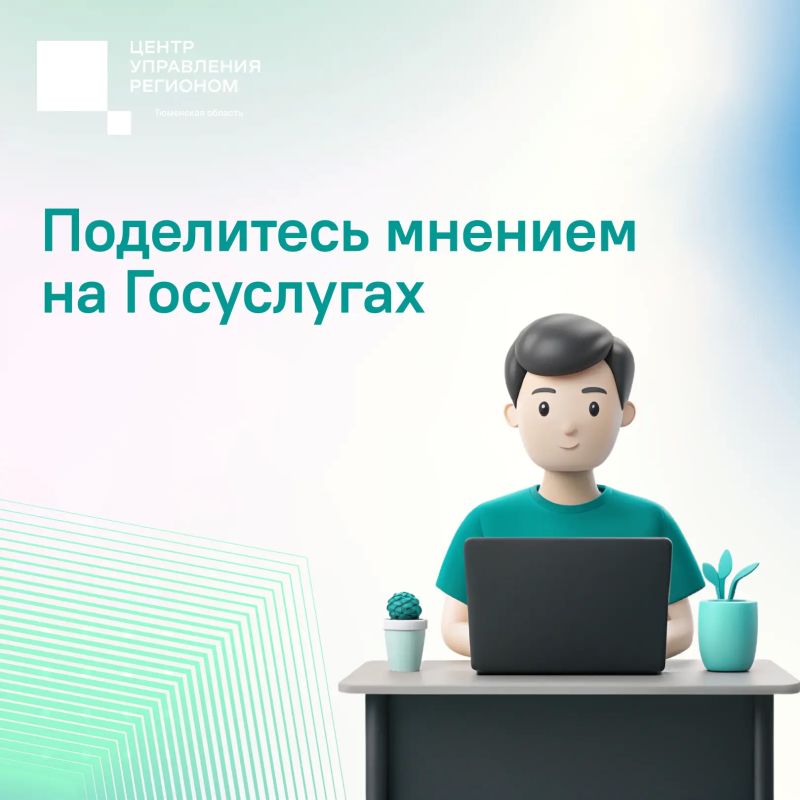 Новые опросы на Госуслугах