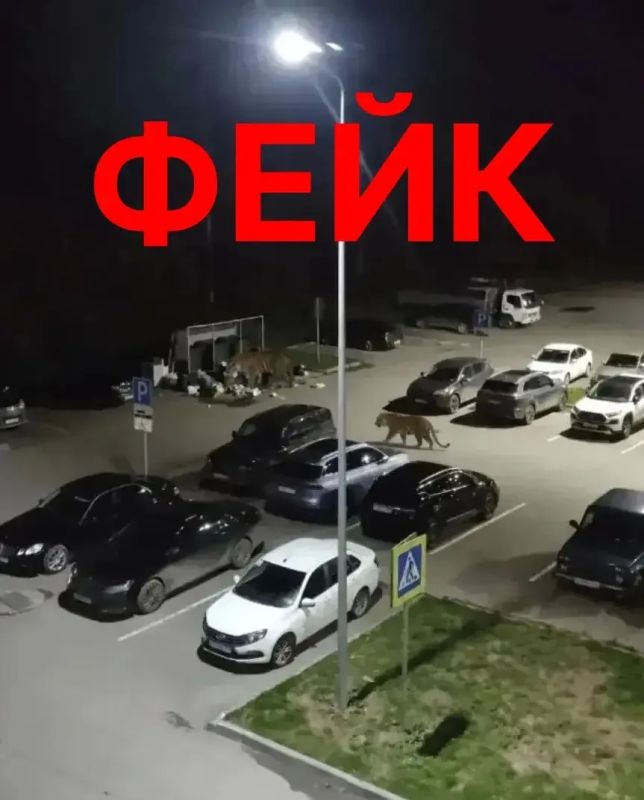 В режиме ВКС провёл оперативное совещание со всеми ведомствами по вопросу обеспечения безопасности горожан В режиме ВКС провёл оперативное совещание со всеми ведомствами по вопросу обеспечения безопасности горожан