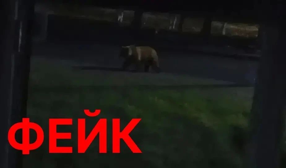 В режиме ВКС провёл оперативное совещание со всеми ведомствами по вопросу обеспечения безопасности горожан В режиме ВКС провёл оперативное совещание со всеми ведомствами по вопросу обеспечения безопасности горожан