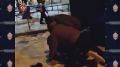 Жителя Тюмени, задержанного ФСБ России, осудили на 8 лет за финансирование террористической деятельности