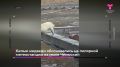 Главные события 25 сентября 2026 года - одной строкой