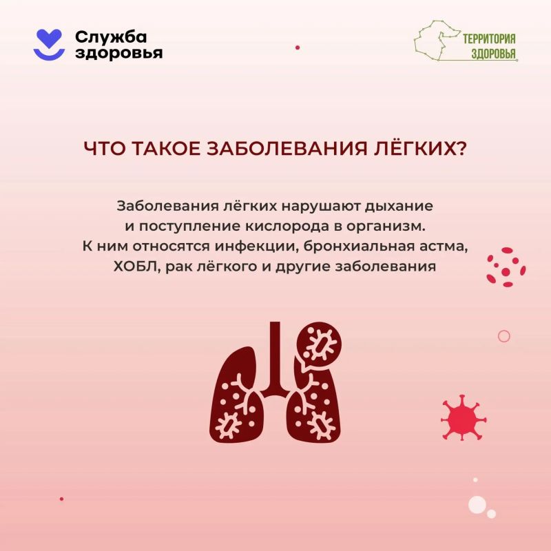Дышите. Просто дышите. А теперь задумайтесь: 20 тысяч вдохов в сутки — и ни одного дня перерыва