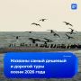 Самый дешевый тур на осень купили из Тюмени — за 20,9 тысячи рублей