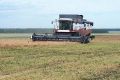 Уборочная кампания в Тюменской области близится к завершению