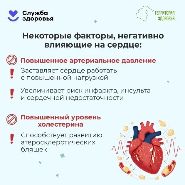 Неделя ответственного отношения к сердцу Неделя ответственного отношения к сердцу