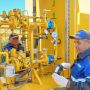 12 домов деревни Крупинина Тюменской области подключат к газу