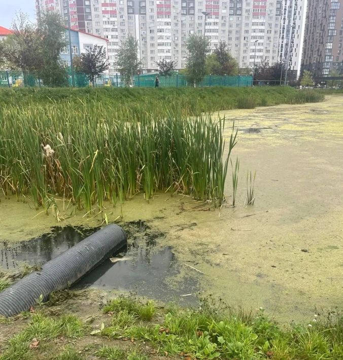 Добро пожаловать в Никольский сквер! Добро пожаловать в Никольский сквер!