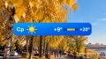 Последний день сентября решил порадовать нас теплой погодой