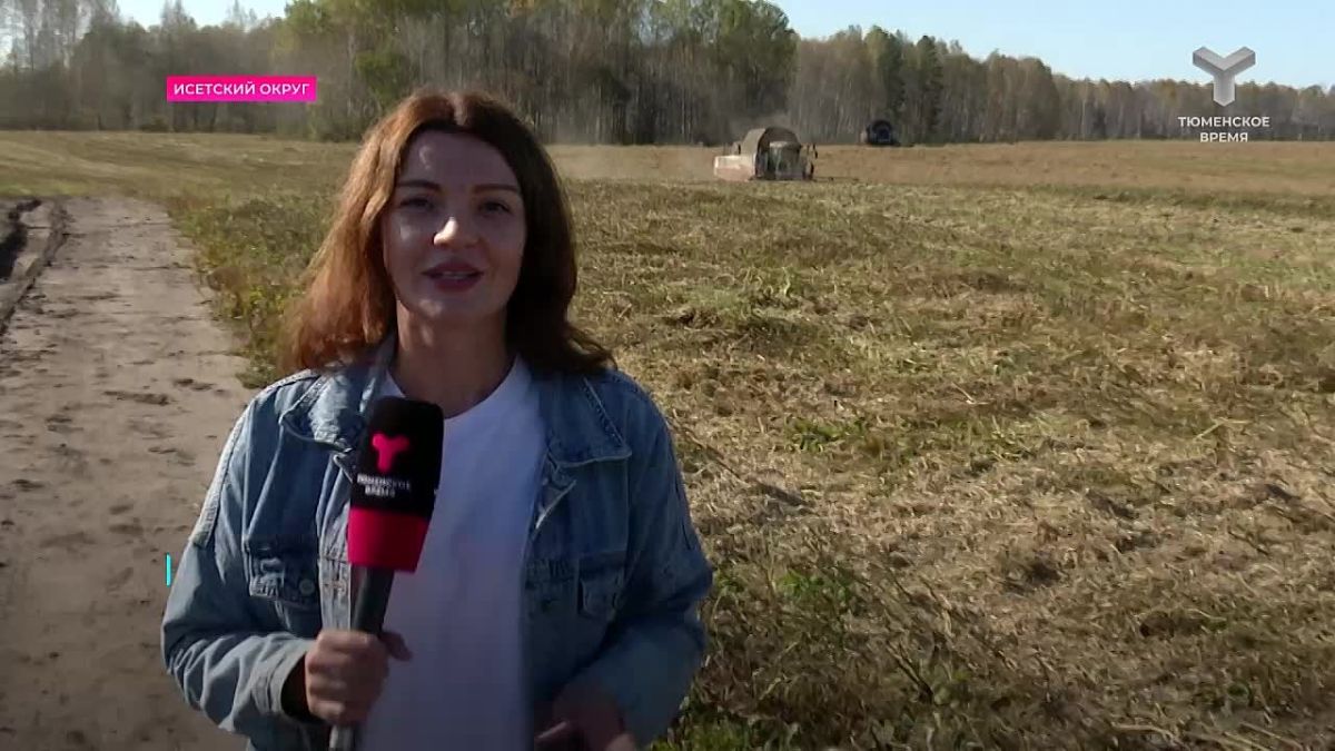 Аграрии региона обмолотили уже 90 % зерновых и зернобобовых культур