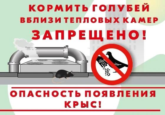 АО «УСТЭК» призывает тюменцев не кормить животных и птиц у теплосетевых объектов