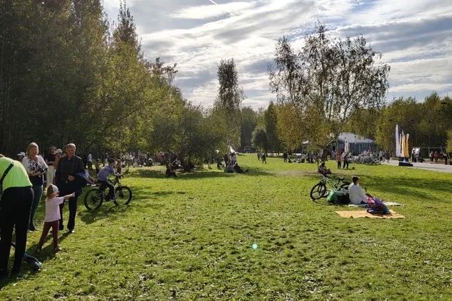 В экопарке Затюменский появится набережная с пирсом и гостиница