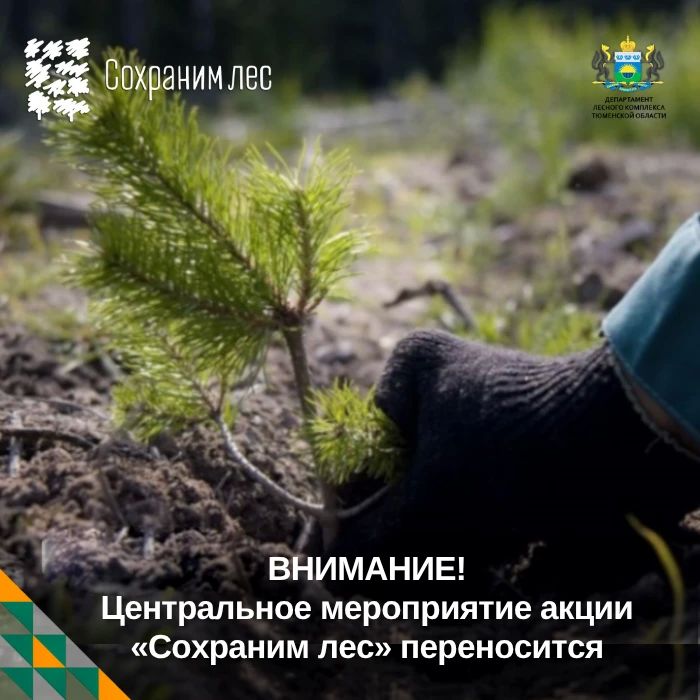 Центральное мероприятие акции «Сохраним лес» переносится