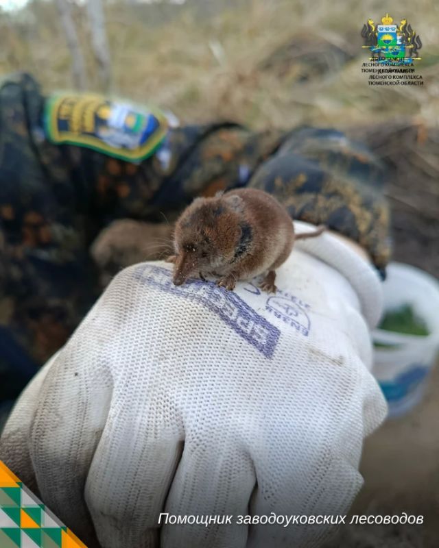 В большом деле и малая помощь дорога В большом деле и малая помощь дорога