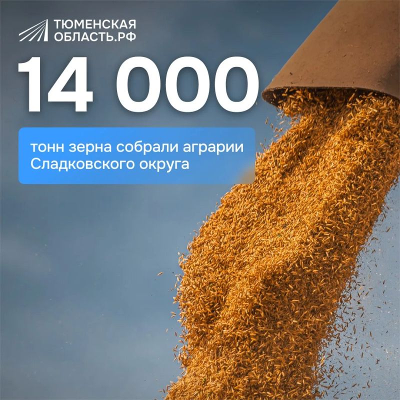 Сладковские аграрии первыми в регионе завершили уборочную кампанию
