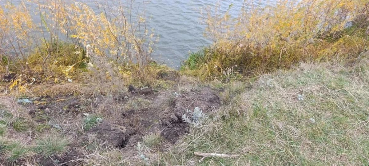 Машина опрокинулась в реку в Казанском округе: водитель утонула Машина опрокинулась в реку в Казанском округе: водитель утонула