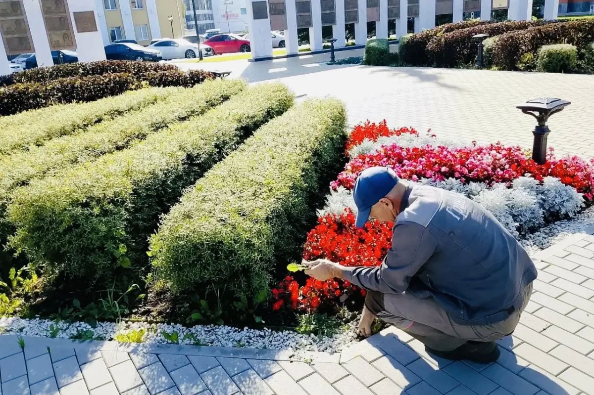 Добрый день, уважаемые тоболяки! Коротко о хозяйственной повестке Добрый день, уважаемые тоболяки! Коротко о хозяйственной повестке