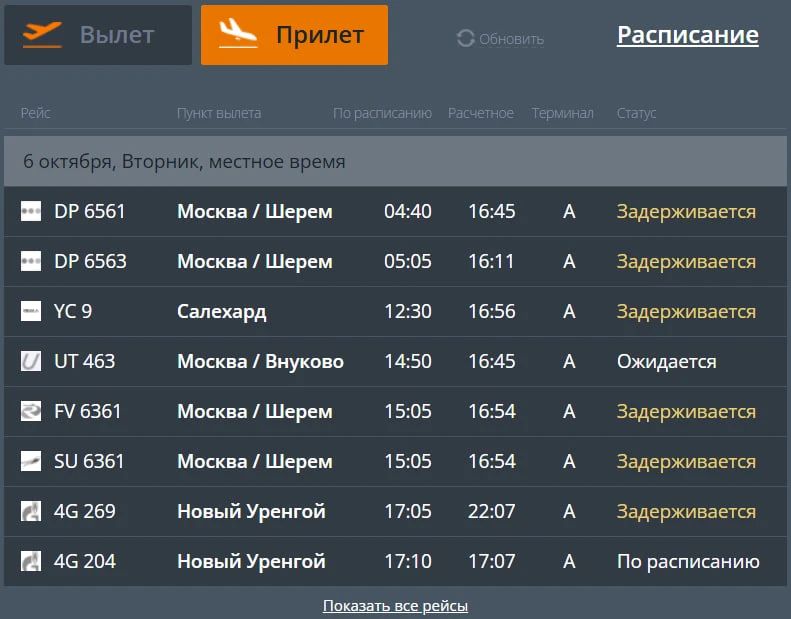 В аэропортах Москвы задерживаются рейсы