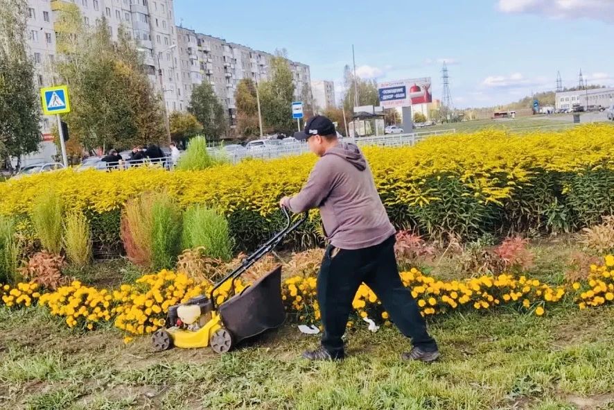 Добрый день, уважаемые тоболяки! Коротко о хозяйственной повестке Добрый день, уважаемые тоболяки! Коротко о хозяйственной повестке
