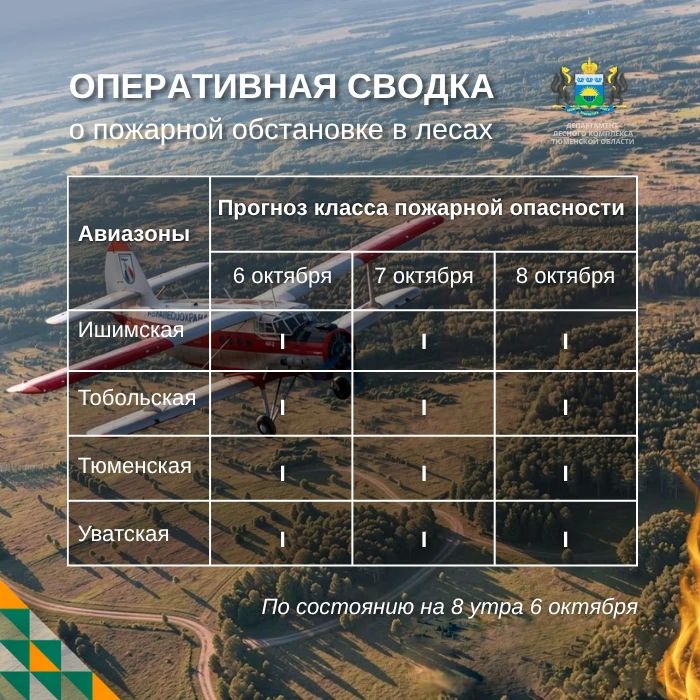 По данным региональной диспетчерской службы, на утро 6 октября в Тюменской области нет действующих лесных пожаров