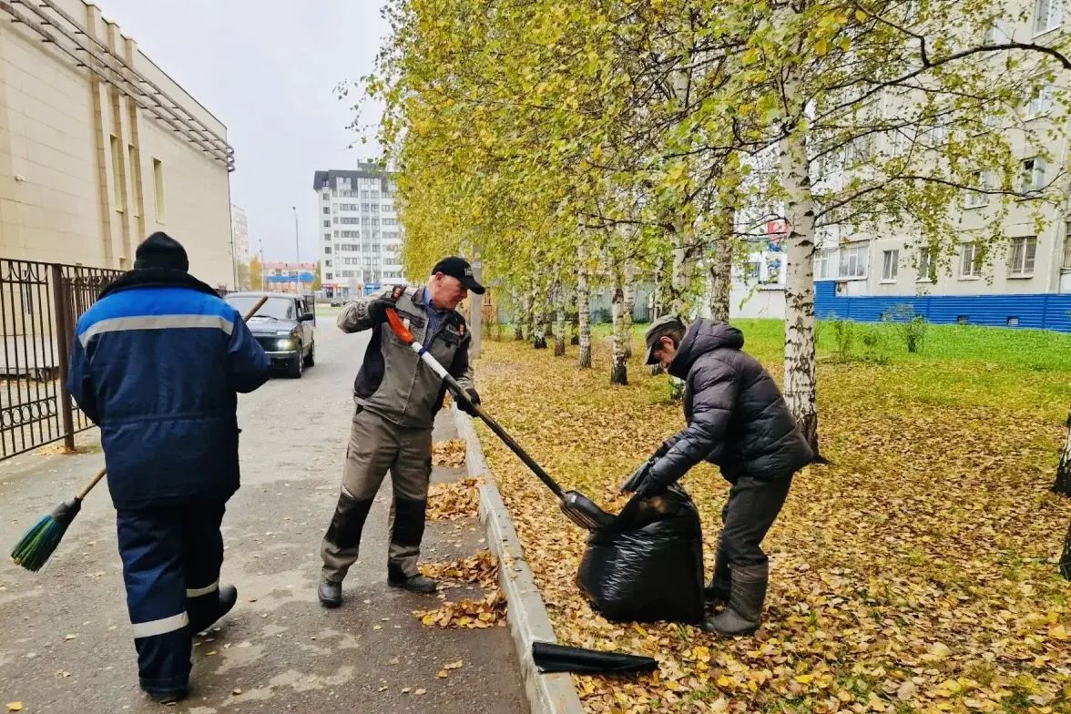 Добрый день, уважаемые тоболяки! Коротко о хозяйственной повестке Добрый день, уважаемые тоболяки! Коротко о хозяйственной повестке