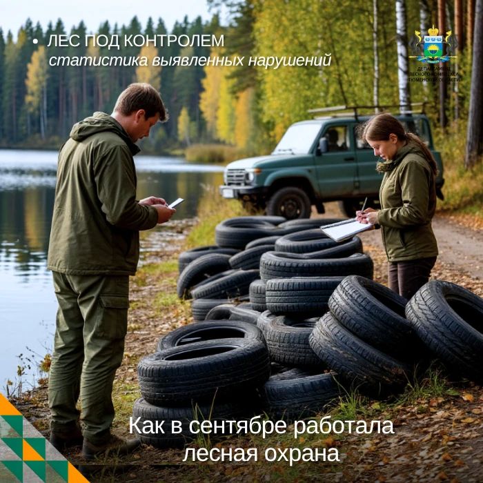 Рубрика: Лес под контролем