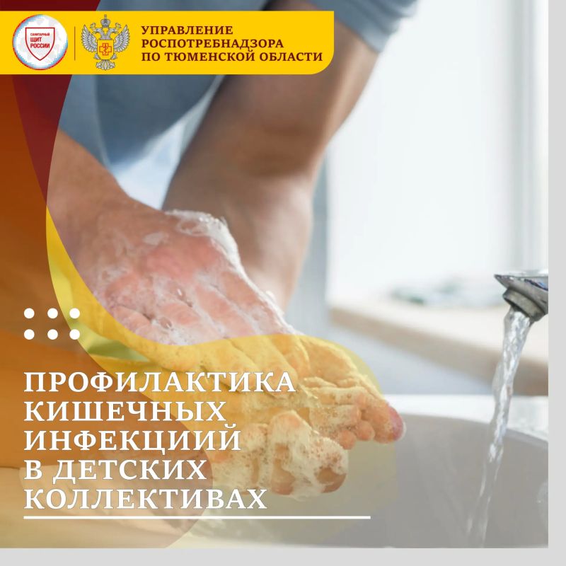Кишечные инфекции – не менее серьезная угроза в детских коллективах, чем ОРВИ, и их профилактика требует внимания как со стороны учреждений, так и со стороны родителей