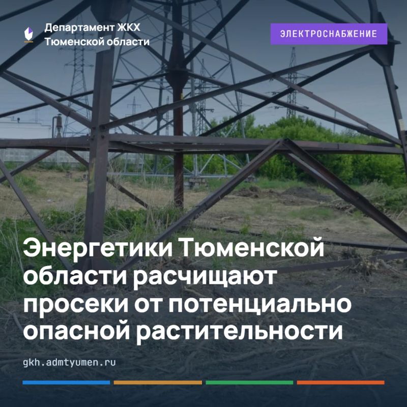 Более 3 000 га просек расчистили энергетики Тюменской области в текущем году