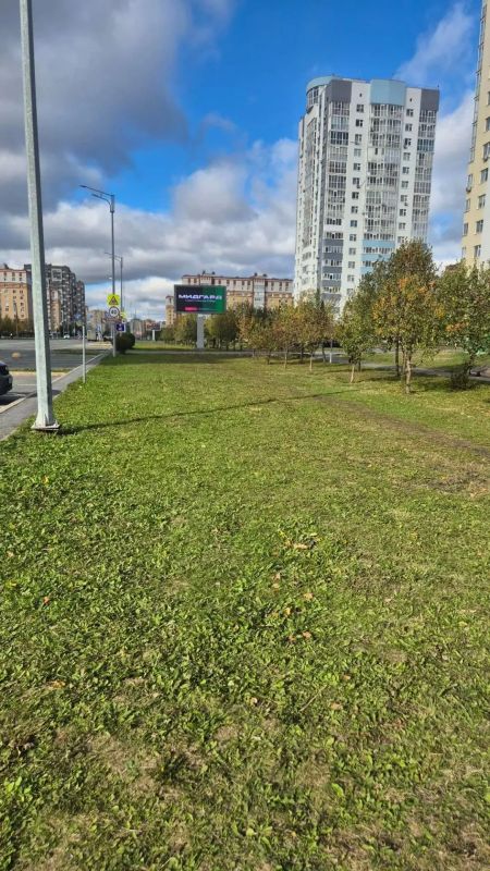 В рамках фестиваля «Чистый город — общее дело» состоялась акция «Тропа без пакетов»!