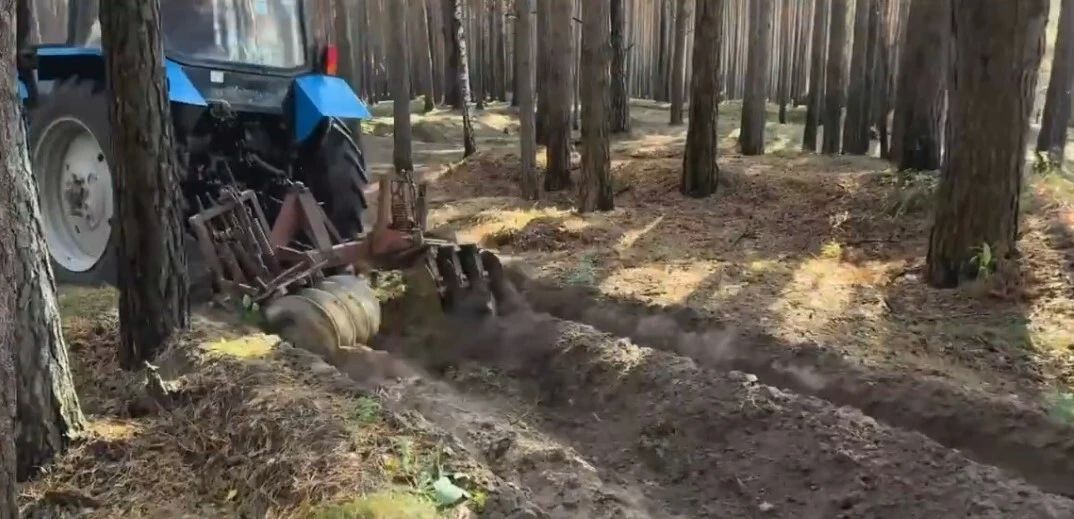 Дачи под защитой: в Тюмени обновили противопожарные полосы у СНТ