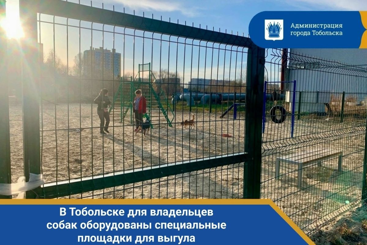 Друзья, все мы любим наших четвероногих друзей, но не стоит забывать, что забота о них – это не только игры и ласка, но и ответственность за чистоту общественных мест!