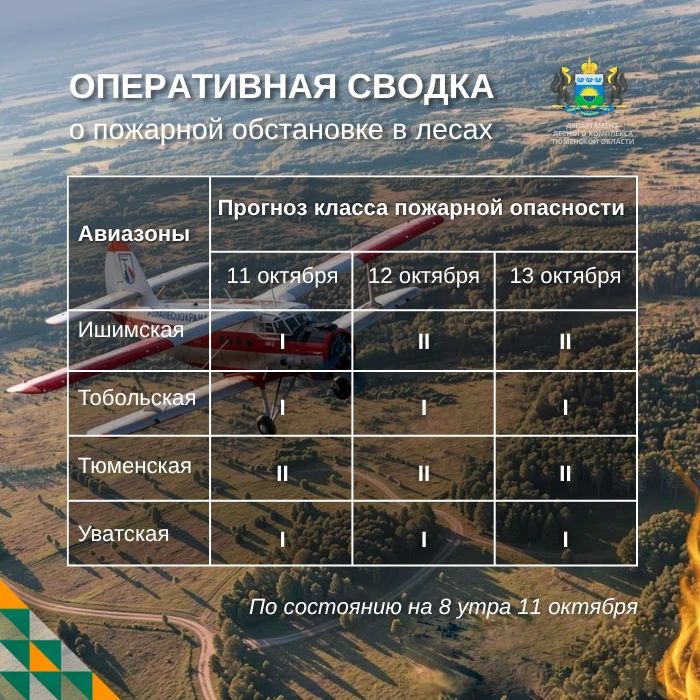 По данным региональной диспетчерской службы, на утро 11 октября в Тюменской области нет действующих лесных пожаров