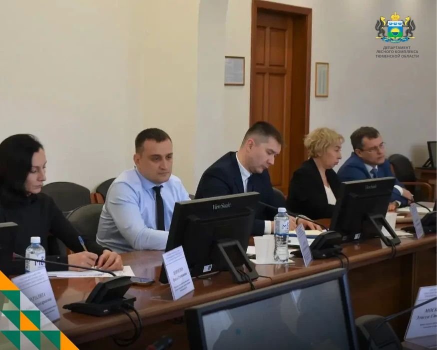 НСПД — новый инструмент для контроля в лесном комплексе НСПД — новый инструмент для контроля в лесном комплексе