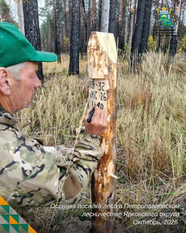 В Ярковском филиале Тюменской авиабазы восстанавливают лес после пожара В Ярковском филиале Тюменской авиабазы восстанавливают лес после пожара