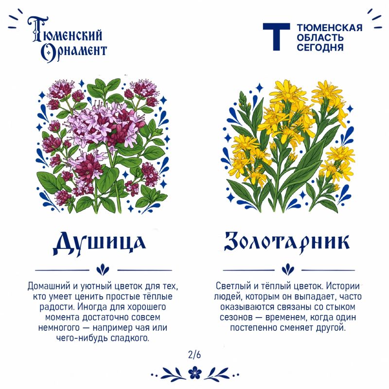 У каждого растения – своё настроение У каждого растения – своё настроение