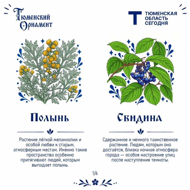 У каждого растения – своё настроение