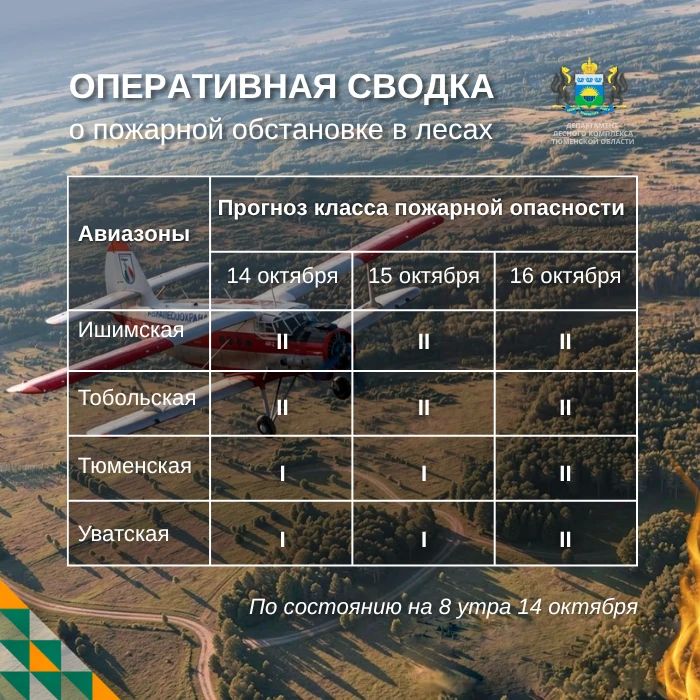 По данным региональной диспетчерской службы, на утро 14 октября в Тюменской области нет действующих лесных пожаров