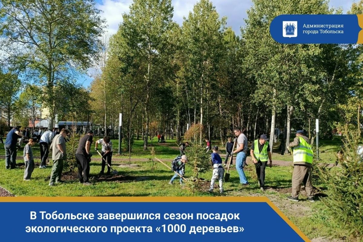 В Тобольске завершился сезон посадок экологического проекта «1000 деревьев»