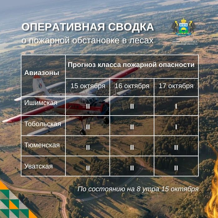По данным региональной диспетчерской службы, на утро 15 октября в Тюменской области нет действующих лесных пожаров