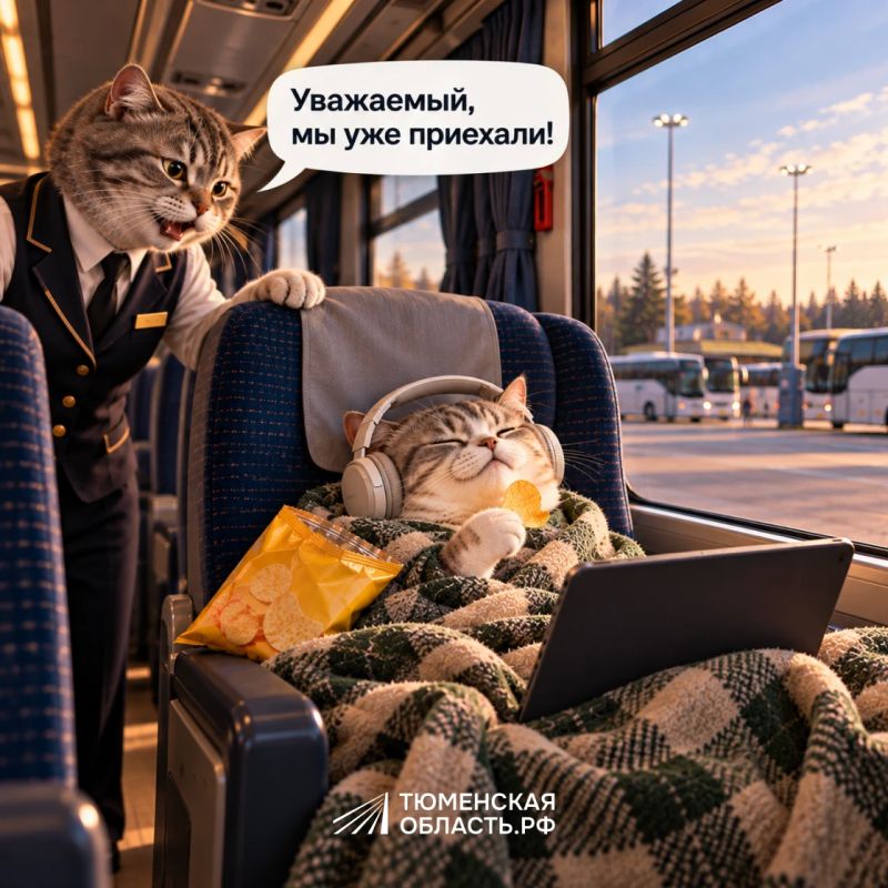 Путь «Тобольск — Тюмень» пролетит незаметно — с комфортом и на связи