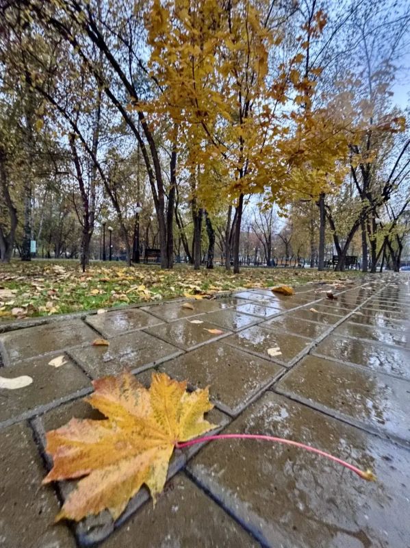 Наше завтра по прогнозу Наше завтра по прогнозу