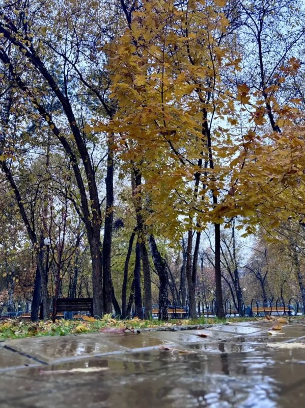 Наше завтра по прогнозу Наше завтра по прогнозу