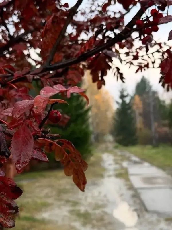 Сегодня в Тюмени по прогнозам синоптиков — последний теплый осенний день