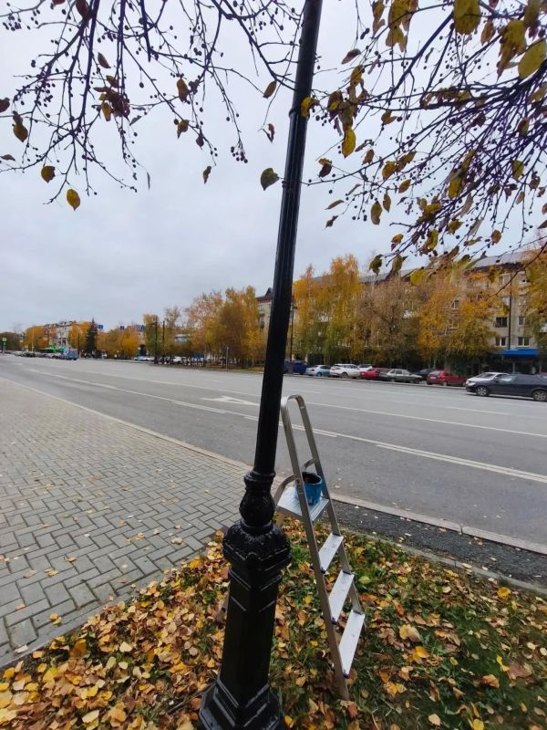 Еще один сквер Ленинского округа стал светлее! Еще один сквер Ленинского округа стал светлее!