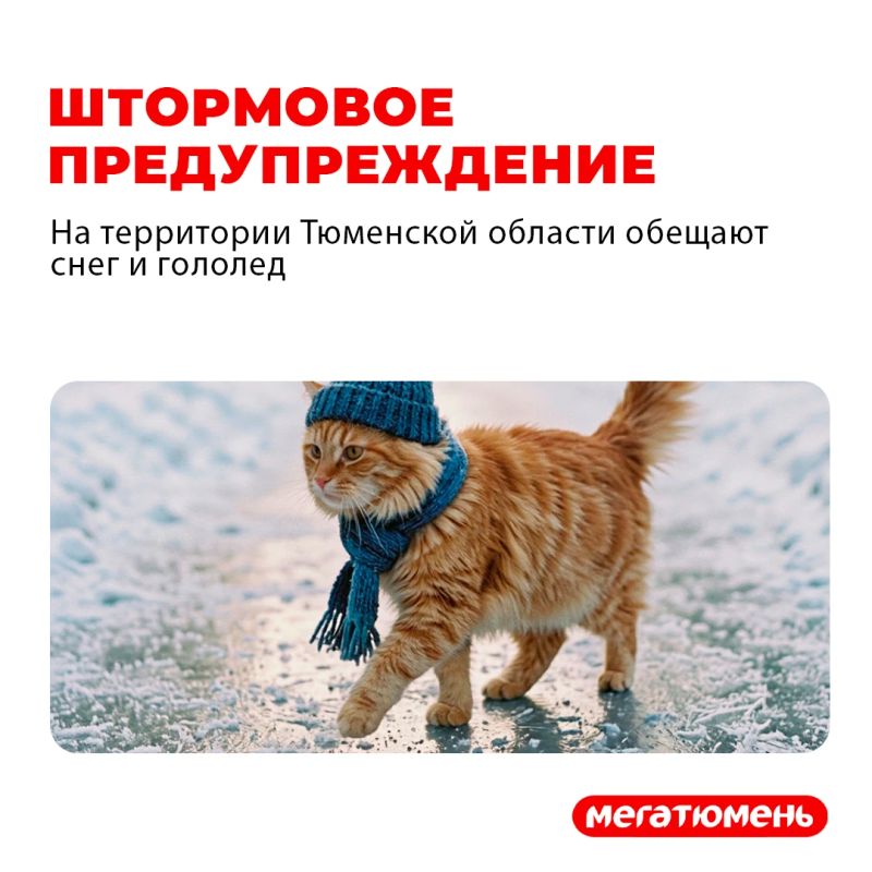 Тюмень! Готовимся к снегу и дождю