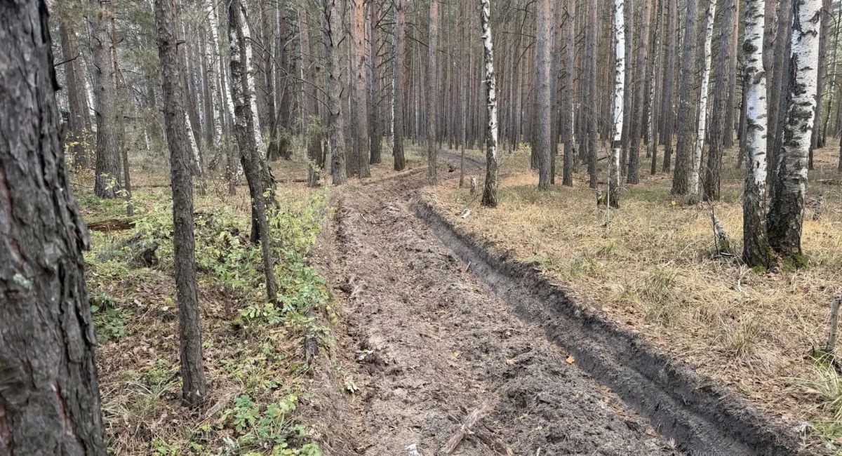 Минерализованные полосы обновлены Минерализованные полосы обновлены