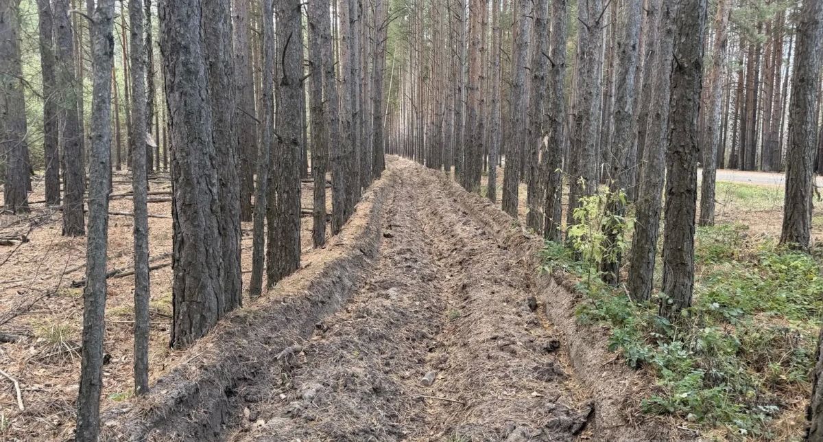 Минерализованные полосы обновлены Минерализованные полосы обновлены