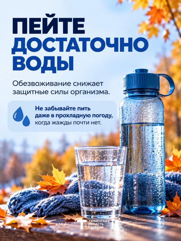 Как поддержать организм при перепадах температуры? Как поддержать организм при перепадах температуры?