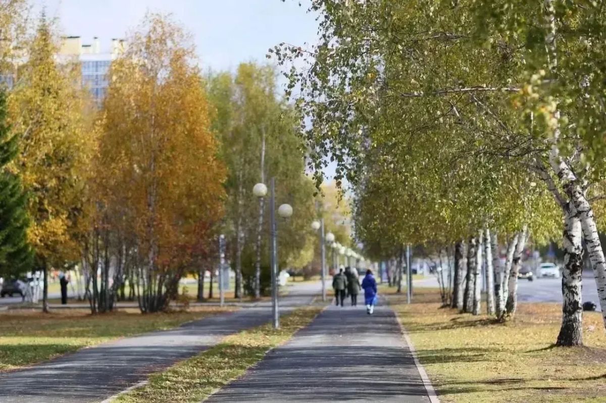 Город становится уютнее: Тобольск активно готовится к зиме Город становится уютнее: Тобольск активно готовится к зиме
