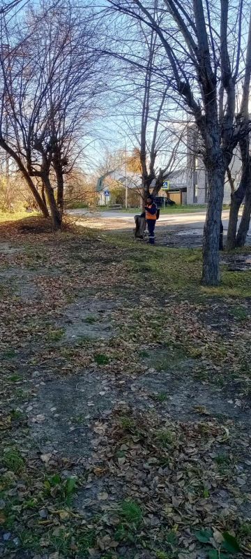 «Тропа без пакетов»: в Калининском округе продолжается масштабная уборка в рамках фестиваля «Чистый город — общее дело» «Тропа без пакетов»: в Калининском округе продолжается масштабная уборка в рамках фестиваля «Чистый город — общее дело»