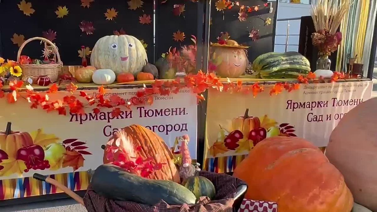 Ярмарки Тюмени начали свою работу